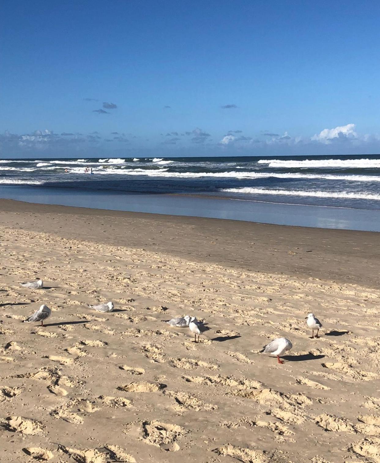 Equinox - Your Front Retreat! Gold Coast