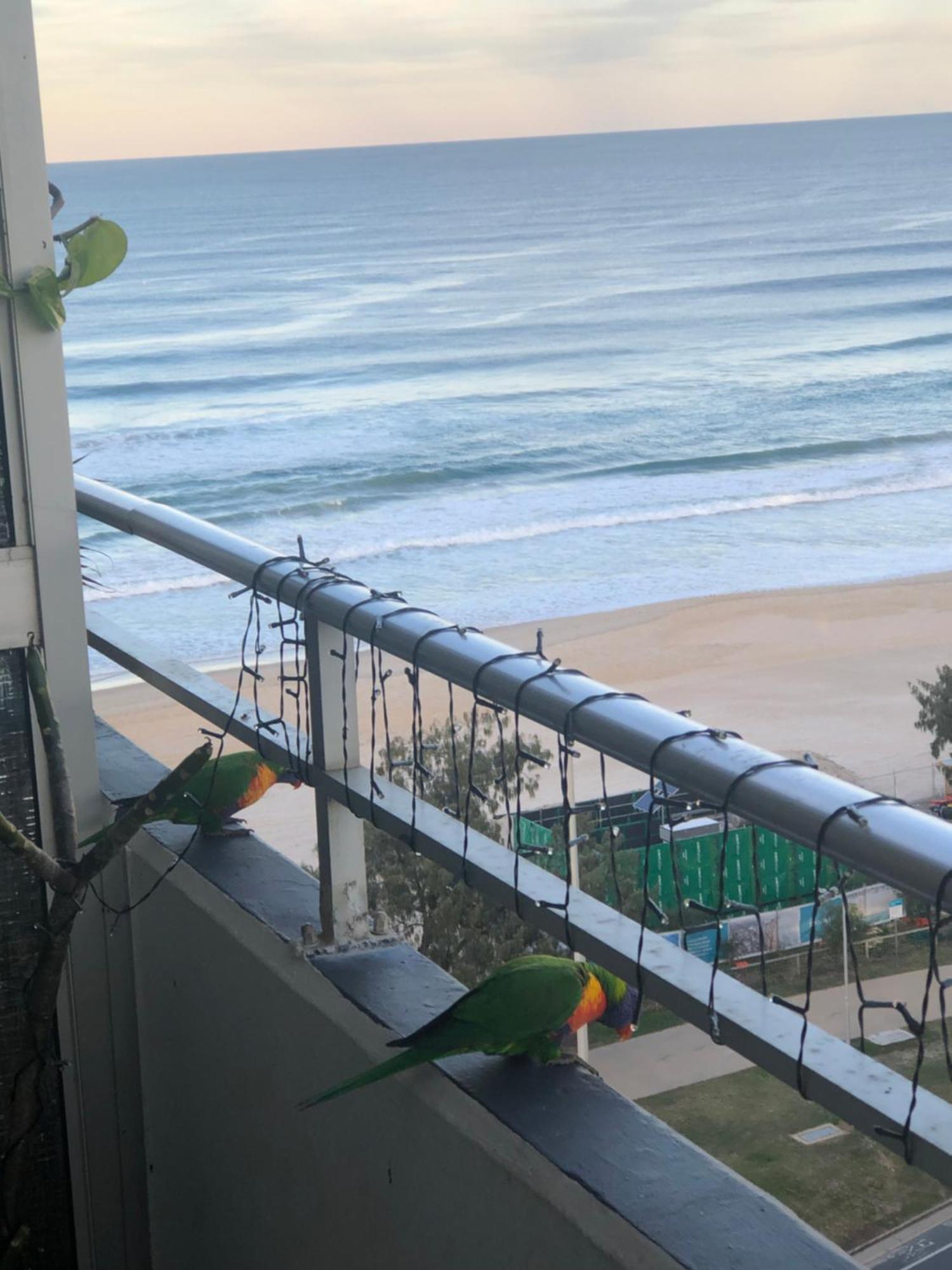 Equinox - Your Front Retreat! * Gold Coast